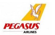 pegasus